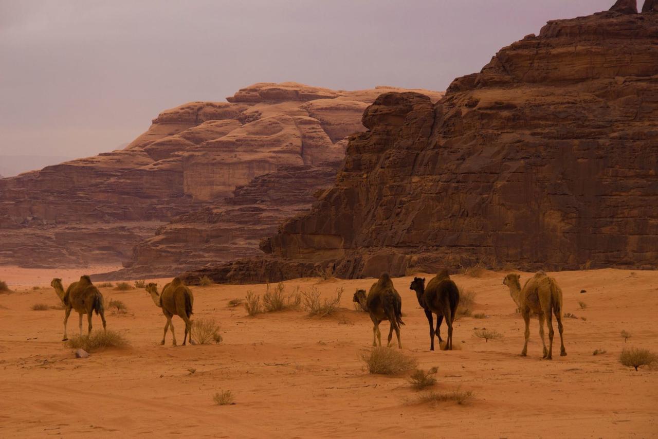 Salma Camp Wadi Rum Exterior foto